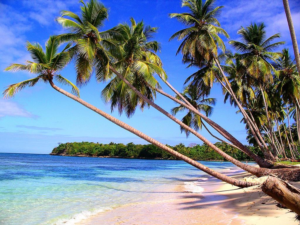 Vila Mangoplaya Deshaies Exteriér fotografie