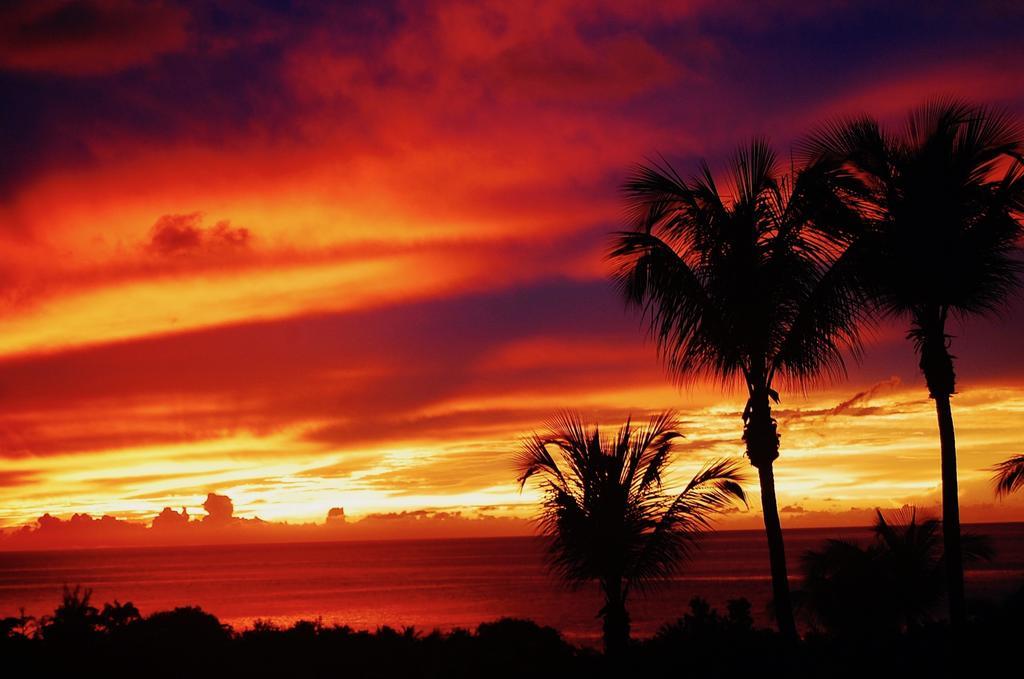 Vila Mangoplaya Deshaies Exteriér fotografie