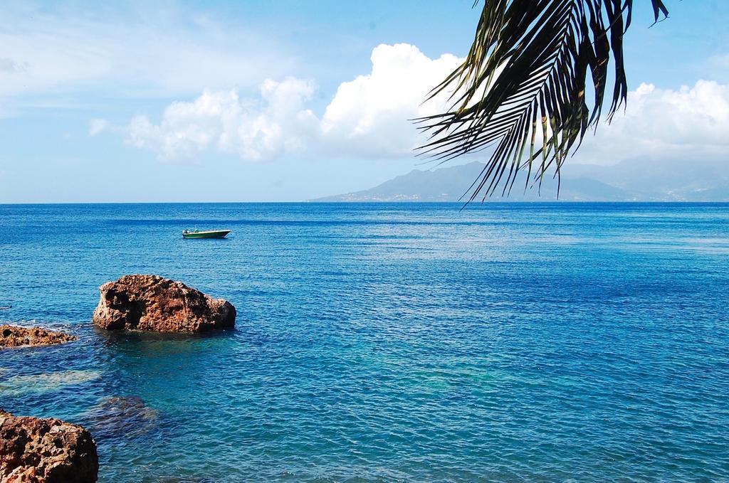 Vila Mangoplaya Deshaies Exteriér fotografie
